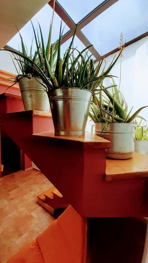 Zelena Kuca- Green House Liznjan Exterior photo